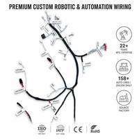 Harnais de câblage robotique personnalisé haute flexibilité PTFE/Nylon/PVC IP67, assemblage de câbles multi-branques, électronique industrielle articulée 6 axes