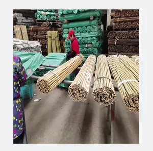 Recinzione di bambù bianco tonkin di alta qualità e natura