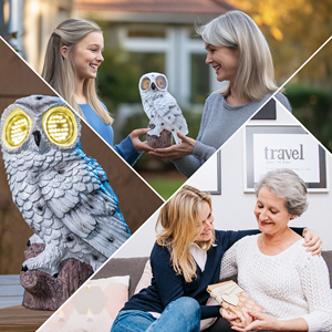 עיצוב פטנט חדש 360 מסתובב עיניים הוביל אפקט מהבהב ריאותי אפקט המדמה ינשוף ינשוף - Product Image 5