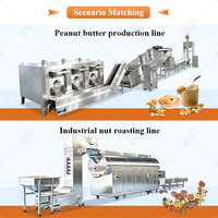 Machine de torréfaction industrielle MY pour noix de cajou, orge, grains de café, graines de tournesol et riz, capacité 100 kg, prix