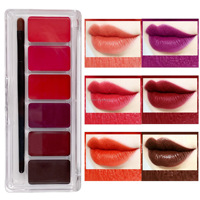 Palette de lèvres mate personnalisable avec logo, faible MOQ, en stock, nouvelle collection, rouge à lèvres longue tenue, maquillage minéral, crème végétalienne