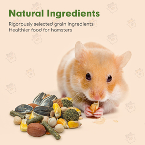 Nobleza 500g cibo Premium criceto integratore sano e gustoso per criceti nani e topi cura della salute degli animali domestici - Product Image 2