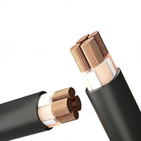 Câbles électriques blindés YJV22 XLPE 0.6/1KV avec bande d'acier