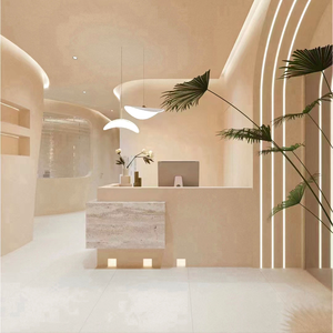 Comptoir d'accueil moderne avec plantes décoratives et éclairage d'ambiance pour la rénovation é<span class=keywords><strong>l</strong></span>égante de <span class=keywords><strong>l</strong></span>'intérieur d'un salon de beauté - Product Image 1