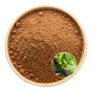 Organic Vegan HALAL KOSHER Certified Mulberry Leaf Extract Full Category Customization Branding Service - Product Image 1