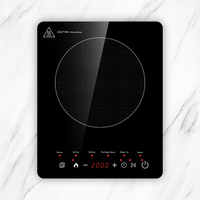 Table de cuisson à induction portable 2000W à brûleur unique avec menu de cuisson multifonction