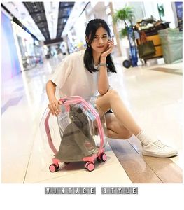 Cesta plegable <span class=keywords><strong>para</strong></span> manillar de bicicleta, cesta delantera <span class=keywords><strong>para</strong></span> bicicleta, bolsa de transporte <span class=keywords><strong>para</strong></span> perros pequeños, se acepta personalizar - Product Image 4