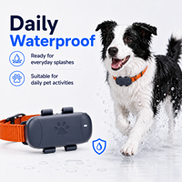 Localizador GPS GSM 4G LTE 3G/4G en Tiempo Real PET1 con Tarjeta SIM, Geocerca, Alarma, Registro de Rutas, Seguimiento de Actividad y Salud, Impermeable, Antipérdida