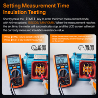 Testeur d'isolation Vicimeter PI DAR TIME VC1508PD 2.5kV 50GΩ, multimètre avec télécommande et câble de test
