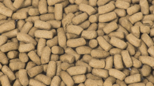 奖励龙鱼和巨型古拉米的大型热带鱼食品-高蛋白水族馆食品 - Product Image 3