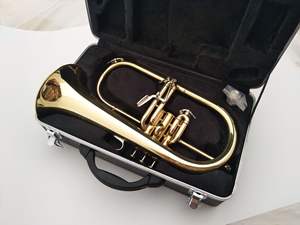 Rendimiento profesional Principiante B-Flat Trompeta Frugalhorn Instrumento de superficie de laca dorada de tono de latón - Product Image 6