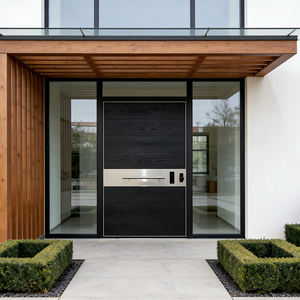 Porte d'entrée moderne en acier inoxydable aux normes américaines 304 Porte pivotante extérieure de sécurité Porte d'entrée pivotante moderne en fer - Product Image 2