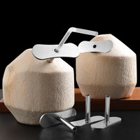 Keuken Gadget Rvs Kokosnoot Gat Opener Fruit & Groente Gereedschap Met Gat Makkelijk Te Gebruiken Stro Opener