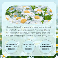 Minyak Esensial Chamomile Serbaguna Ekstrak Alami Minyak Pijat Tubuh Melembapkan Perawatan Kulit Minyak Esensial Aromaterapi