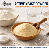 Poudre de levure active jaunâtre pour un arôme riche, largement utilisée pour les formules de pain, de pains à la briquette et de pâtisseries fermentées