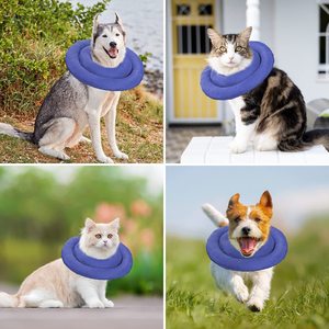 Venta caliente cómodo algodón mascota gato Anti lamer morder cuello protector cono perro gato Isabelino <span class=keywords><strong>Collar</strong></span> - Product Image 6