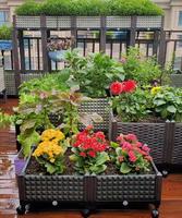 Vente directe d'usine, bac à plantation de légumes pour balcon, bac à fleurs rectangulaire en plastique pour toit, grand bac à légumes
