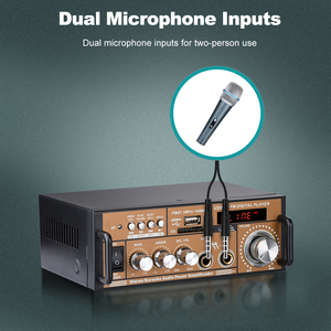   Mini Amplificador de Audio, Pantalla Digital, Doble Voltaje, USB, TF, FM, Radio, Bluetooth, Compatible con OEM, 2 Canales, para Hogar, Auto, Fábrica, Venta al por Mayor - Product Image 6