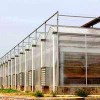 Grande serre intelligente en polycarbonate pour la production hydroponique de légumes avec système de contrôle climatique