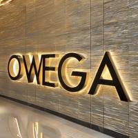 Enseigne publicitaire professionnelle personnalisée à LED en acier inoxydable rétroéclairée en lettres 3D en acrylique pour éclairage extérieur