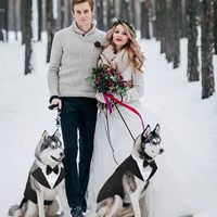 Accessoire de fête formel utilisable séparément avec nœud papillon pour petits et moyens chiens, ensemble bandana et gilet de smoking pour chien