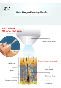 Máquina de Hidrodermoabrasión Profesional con Chorro de Oxígeno para Rejuvenecimiento de la Piel, Eliminación de Cicatrices de Acné y Arrugas - Product Image 4