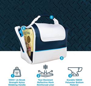 Bolsa enfriadora aislante, bolsa enfriadora suave, selfie para cerveza y, para compras, acampada - Product Image 4