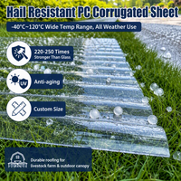 Tôle ondulée en polycarbonate robuste pour toiture industrielle, protection contre le soleil et la pluie, protection UV