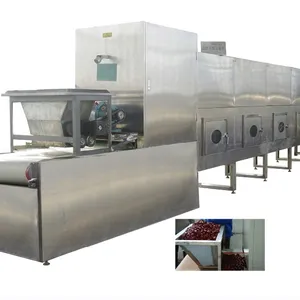 High Efficiency Tunnel Style Micro Wave Drying Machine for Food Drying