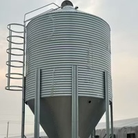 Silo d'alimentation automatique en acier inoxydable de petite taille pour ferme avicole de 20 tonnes pour le stockage des aliments