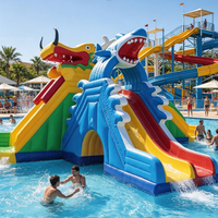 Toboggan aquatique gonflable commercial en PVC, thèmes Dinosaure, Pieuvre, Grenouille, pour parcs aquatiques, complexes hôteliers et location