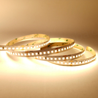 24V Fleksibel CRI Tinggi Ra85 160-190lm/W 2700-3500K Putih Hangat 2835 Dapat Dipotong 8mm Efisiensi Tinggi Tanpa Titik Putih LED Strip Dapat Diredupkan