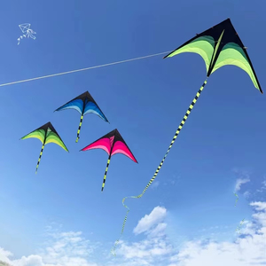 Aquilone <span class=keywords><strong>Delta</strong></span> Colorato Facile da Pilotare, Aquilone a Linea Singola per Spiaggia e Giardino - Product Image 2