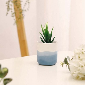 YBH moderno interno ceramica blu e bianco vaso di <span class=keywords><strong>fiori</strong></span> opaco finitura succulenta pentola <span class=keywords><strong>per</strong></span> la casa e Hotel <span class=keywords><strong>da</strong></span> <span class=keywords><strong>tavolo</strong></span> <span class=keywords><strong>per</strong></span> la decorazione delle piante - Product Image 4
