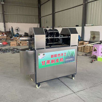 Goede prijs, snelle, volautomatische suikerriet schil- en snijmachine, motor, roestvrijstalen behuizing, 220V, efficiënt voor fruit en groenten