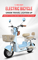 Trottinette électrique avec moteur sans balais 500W, batterie au plomb-acide 12Ah, frein à disque hydraulique, pneu de 14 pouces, acier au carbone, trottinette électrique