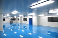 Salle blanche personnalisée avec différents niveaux de propreté, fabriquée par un fabricant spécialisé dans les projets de purification