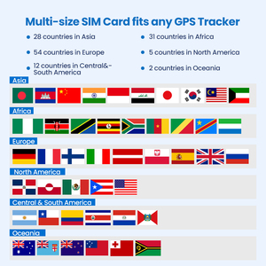 Thẻ Sim IOT toàn cầu-30Mb, phí hàng tháng bằng 0-Hoàn hảo để theo dõi GPS và ứng dụng IOT băng thông thấp trên toàn thế giới - Product Image 2