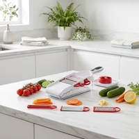 Multifunctionele professionele plastic handmatige mandoline groentesnijder met roestvrijstalen mes, rasp en aardappelrasp