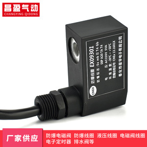 Bobina Electromagnética a Prueba de Explosiones Changying Qidong EX09301 AC220V DC24V para Uso Industrial - Product Image 3