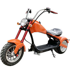 จักรยานล้อเดียว วีลเดียว จักรยานทรงตัวได้เอง สเก็ตบอร์ด สกู๊ตเตอร์ - Product Image 3