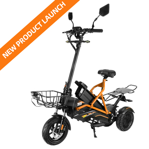 Scooter Eléctrico de 3 Ruedas de Diseño Popular con Batería de Litio de 48v 23.4ah para H-001, Scooter de 3 Ruedas H-001 H-001 - Product Image 2