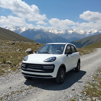 Vehículo Eléctrico Compacto LTL de Cero Emisiones, Elegante, Práctico e Inteligente, de Cuatro Ruedas, 4 Asientos, Autonomía de 301-400 km, Motor de 3500 W, Familiar