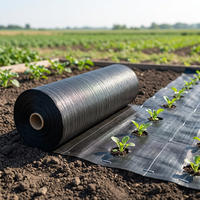 Toile de paillage anti-herbe stabilisée aux UV en PEHD pour l'agriculture et le jardin