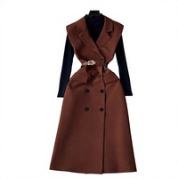 Nouvelle Robe Chic Printemps-Automne pour Femme, Style Urbain, Tissée, Boutonnée, Sans Manches, Taille Empire, Idéale pour le Bureau et les Trajets Quotidien