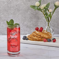 Verres à Mojito Highball de 16 oz, de haute qualité, lavables au lave-vaisselle, verres à bière pour l'Espagne, Yichang Western Son E&J
