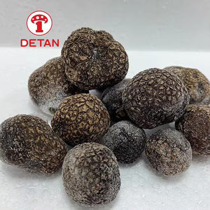 Detan, trufa negra congelada de alta calidad a bajo precio, Frozen <span class=keywords><strong>melanosporum</strong></span> - Product Image 3