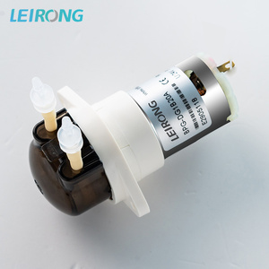 LEIRONG DC6V 12V 24V prezzo all'ingrosso piccolo flusso medico piccolo acquario di dosaggio pompa pumperistaltica - Product Image 5