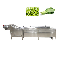 Professionele Aardappel Blancheren Machine Voedsel Steriliseren Stomer Blancheren En Koken Machine Voor Voedselverwerkende Fabriek