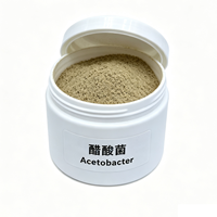 Acetobacter 10 miljard CFU/g Azijnzuurfermentatie Microbiële Starter Azijnzuurbacteriën Droog Poeder Industrieel Azijn